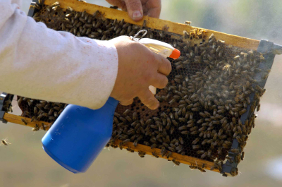 Η Βουλή δωρίζει 1.200 κυψέλες σε μελισσοκόμους που επλήγησαν από την κακοκαιρία