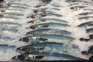 Ποιο είναι το πιο μολυσμένο ψάρι σύμφωνα με στοιχεία του RASFF τα τελευταία 23 χρόνια