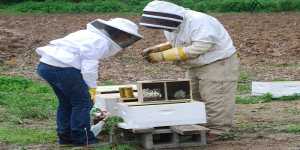 Προτάσεις για τα προγράμματα εκπαίδευσης μελισσοκομίας 2014