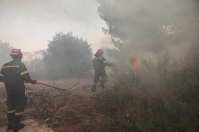 Πυροσβεστική: Οι 62 δασικές πυρκαγιές σε 24 ώρες και η «άμεση αντιμετώπιση»