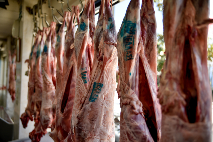 Τι σημαίνουν οι σφραγίδες πάνω στο κρέας, πώς θα καταλάβετε αν είναι ντόπιο το αρνί