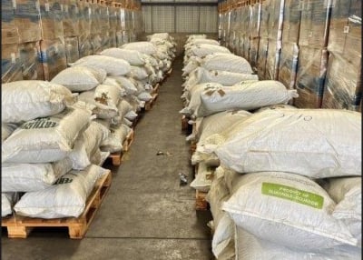 ΑΑΔΕ: Μεγάλη ποσότητα φύλλων κοκαΐνης μέσα σε φορτία λιπασμάτων
