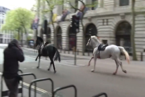 Άλογα του στρατού το έσκασαν, προκάλεσαν χάος στο Λονδίνο