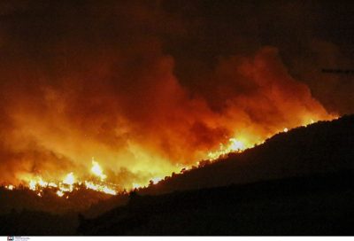 Φωτιές στην Πάρνηθα: Νέα αναζωπύρωση στην Χασιά, προσαγωγές σε Μενίδι - Αυλώνα